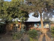 La Florida, Lo cañas