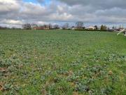 La Garnache Vente Terrain 85