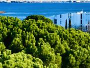 La Grande Motte Vente Appartement 34