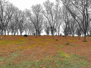 LA Highway 68 Lot 2, Jackson, LA 70748