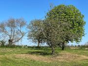 La Jonchère Vente Terrain 85