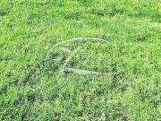 La Lande de Fronsac Vente Terrain 33