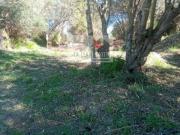 LA LLAR SAITI OFRECE TERRENO EN MUY BUEN PUNTO