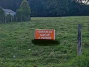 La Loge aux Chèvres 10140 Programme neuf terrain neuf à...