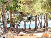 La Londe les Maures 83250 Achat / Vente appartement 3...