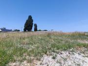 La Membrolle sur Longuenée Vente Terrain 49