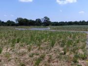 La Membrolle sur Longuenée Vente Terrain 49