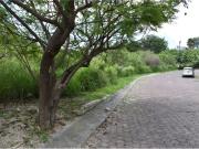 La noria: excelente lote en privada