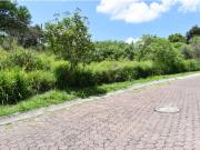 La noria: terreno con gran ubicación