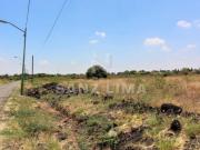 LA PALMA: MAGNIFICO TERRENO PROPIO PARA USO AGRICOLA O...