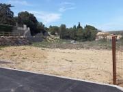 La Palme Vente Terrain 11