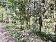 La parcela que esperabas en Albanyá a dos pasos del río