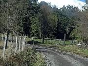 LA PICARA PUERTO OCTAY