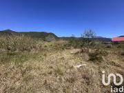 La Plaine des Palmistes 97431 Achat / Vente terrain