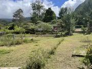 La Plaine des Palmistes 97431 Achat / Vente terrain
