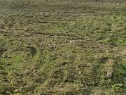 La Plaine sur Mer 44770 Programme neuf terrain neuf à vendre