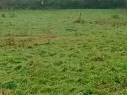 La Plaine sur Mer 44770 Programme neuf terrain neuf à vendre