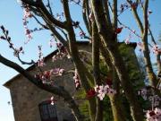 La Rovira Sagas Barcelona