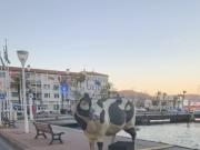 LA SEYNE SUR MER proche gare centre ville / port...