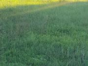 La Valette du Var Vente Terrain 83