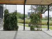 LA VISTA, SALA DOBLE ALTURA, 4 RECÁMARAS 1 EN PLANTA...