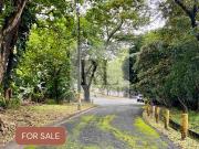 La Vista Subdivision Quezon City Vacant lot for sale