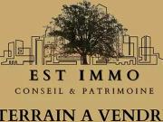 La Wantzenau 67610 Achat / Vente terrain