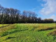 Labastide d'Armagnac 40240 Achat / Vente terrain