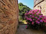 Labastide Rouairoux Vente Maison 81