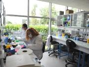 Laboratoires biotech à louer Évry Courcouronnes Proche Paris