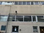 Laboratorio in affitto a Lastra A Signa