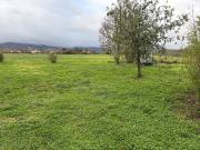 Labruguière Vente Terrain 81