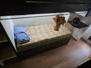 Ladies Bedspace Pod For Rent in Pasay near Libertad LRT...