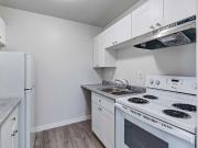 Lady Smith Apartments 1 Bedroom Apartment for Rent at...