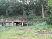 Lagar desativado Torres do Mondego