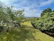 Lagarde 09500 Achat / Vente maison 5 pièces t5 au...