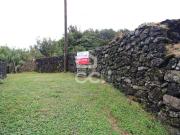 Lagoa Açores Ilha de São Miguel 43683653