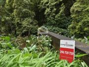 Lagoa Açores Ilha de São Miguel 66629685