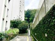 Lagoa, floresta e o som dos pÃ¡ssaros â um refÃºgio na...