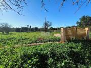 Lagos Algarve 72863014