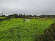 Lagos Algarve 98957965