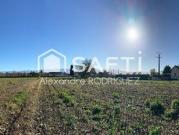 Lagos Aquitaine 64800 95987102