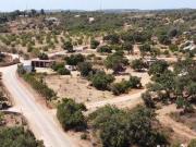 Lagos Faro 8600 013 94009865