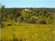 Lagos Lagos 100108133