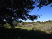 Lagos Lagos 94894416