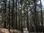 LAGUNA DE SERVIN AMEALCO $ 3 000 000