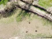 Laissac Sévérac l'Église 12310 Achat / Vente terrain