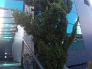 Laje Corporativa Andar Inteiro Sala Comercial 200 m²...