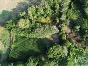 Lajes Do Pico Ilha Do Pico 98686058