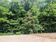 / Lakewood Dr Lot,louisville, Plot For Sale